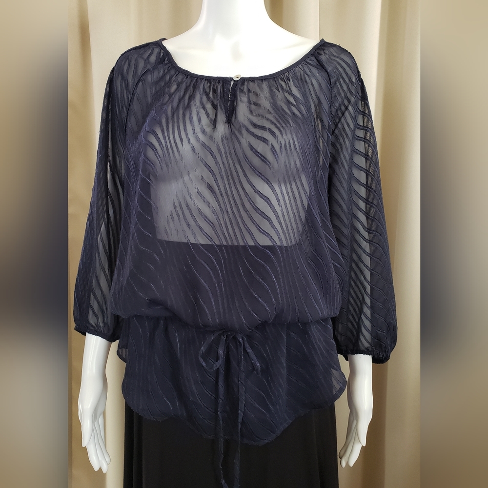 The Limited Sheer Top